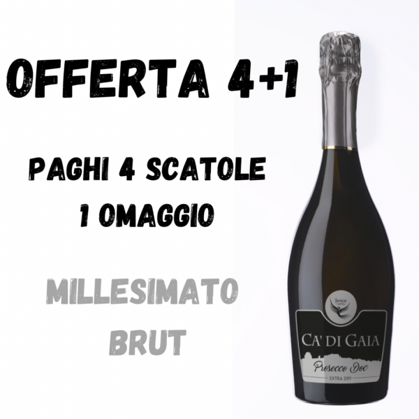 OFFERTA MILLESIMATO BRUT 4 SCATOLE PIU' UNA IN OMAGGIO