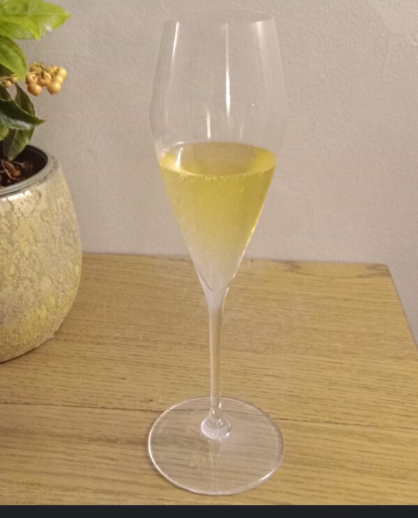 VINO FRIZZANTE SUI LIEVITI